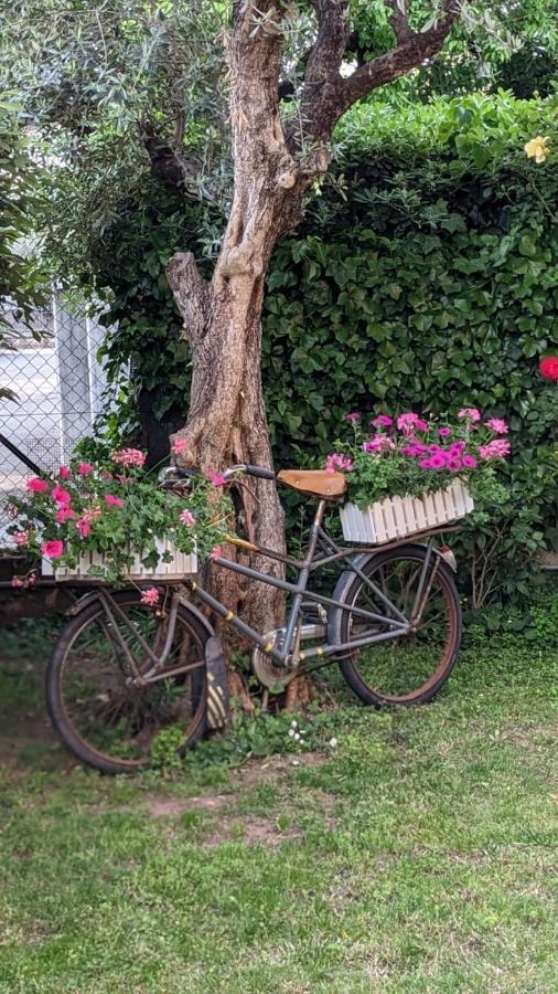 Bed&Breakfast Agli Aceri Verona Exterior foto